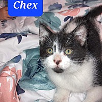 Photo of Chex