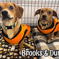 Photo of Brooks & Dunn