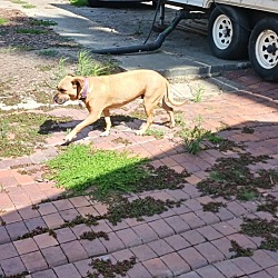 Photo of Roxanne 