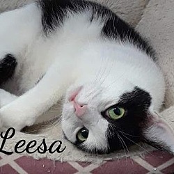 Thumbnail photo of Leesa #3
