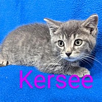 Photo of Kersee