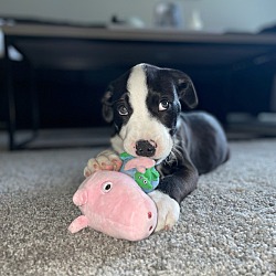 Photo of Jaxson