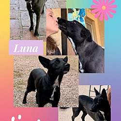 Thumbnail photo of LUNA #3
