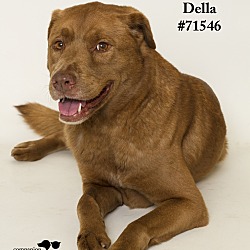 Thumbnail photo of Della #3