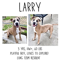 Photo of Larry
