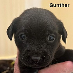 Photo of Gunther JuM