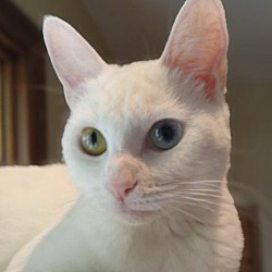 Photo of Mary Kay