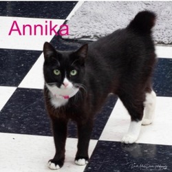Photo of ANNIKA