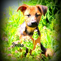Thumbnail photo of Irma ~ meet me! #2