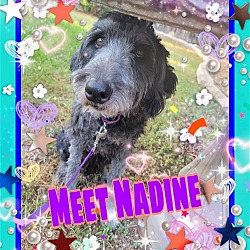 Photo of Nadine