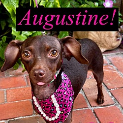 Photo of Augustine