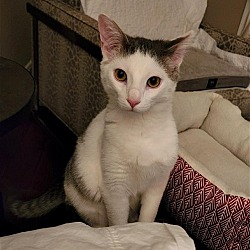 Thumbnail photo of Andy #2