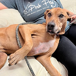 Photo of Chloe