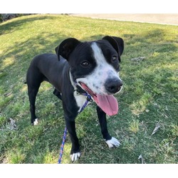 Photo of MILO