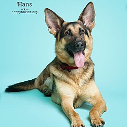 Thumbnail photo of Hans #4
