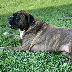 Photo of Laila