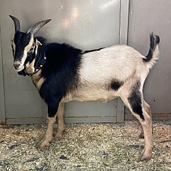 Photo of Roger