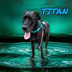 Thumbnail photo of Titan #1