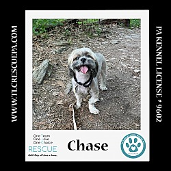 Photo of Chase 042724