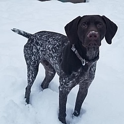 Photo of Rowen