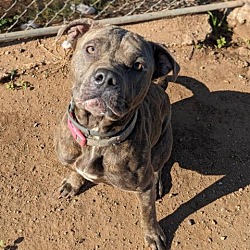 Photo of ZUMA