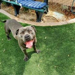 Photo of HANK