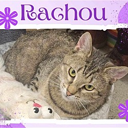 Photo of Rachou