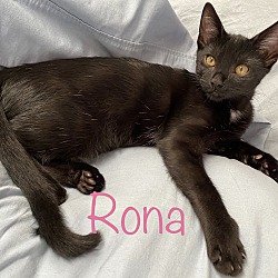 Thumbnail photo of Rona #4