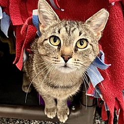 Photo of Dorothy
