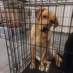 Photo of Jax
