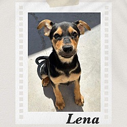 Photo of Lena