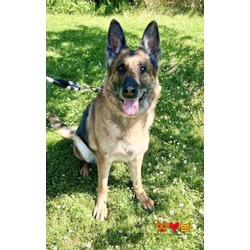 Photo of TALON