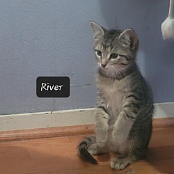 Photo of River