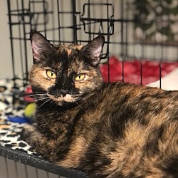 Photo of CINDY