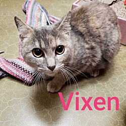 Thumbnail photo of VIXEN #2