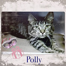 Thumbnail photo of Polly #2