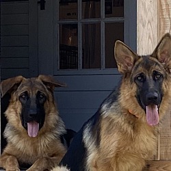 Photo of Windsor and his sister Baylee