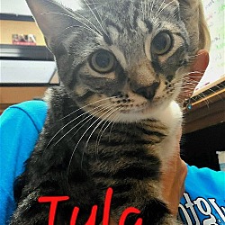 Thumbnail photo of Tyla #1