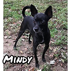 Thumbnail photo of Mindy #1