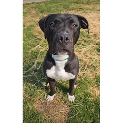 Photo of HUGO