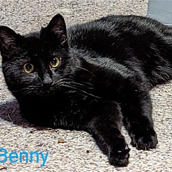 Photo of Foster Benny