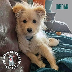 Thumbnail photo of Jordan #2