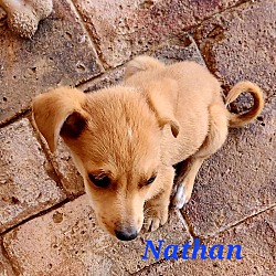 Thumbnail photo of Nathan #3