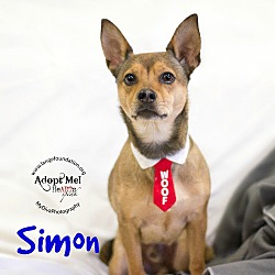 Thumbnail photo of Simon #2