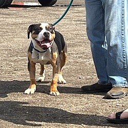 Photo of Freddy