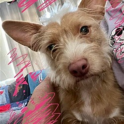 Photo of RAFIE