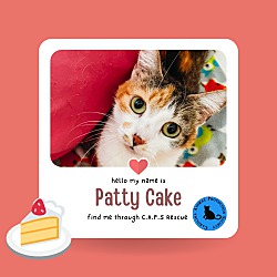 Photo of Patty cake
