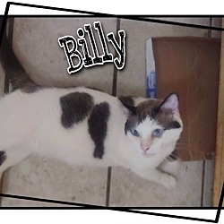Thumbnail photo of Billy #1