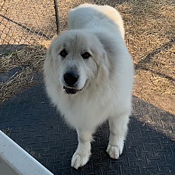 Thumbnail photo of Nimbus #3
