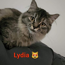Thumbnail photo of Lydia #2